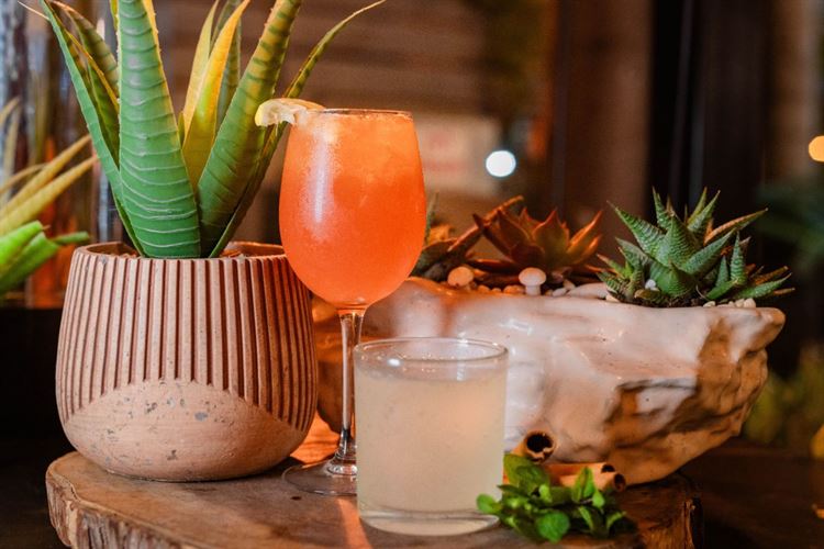 צילום: וואלה! מזל טוב