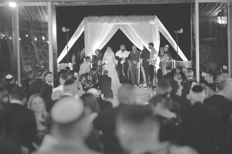 צילום: זיו שמשון