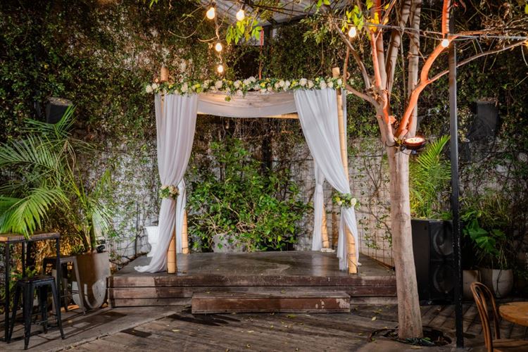 דרזנר, צילום: וואלה מזל טוב