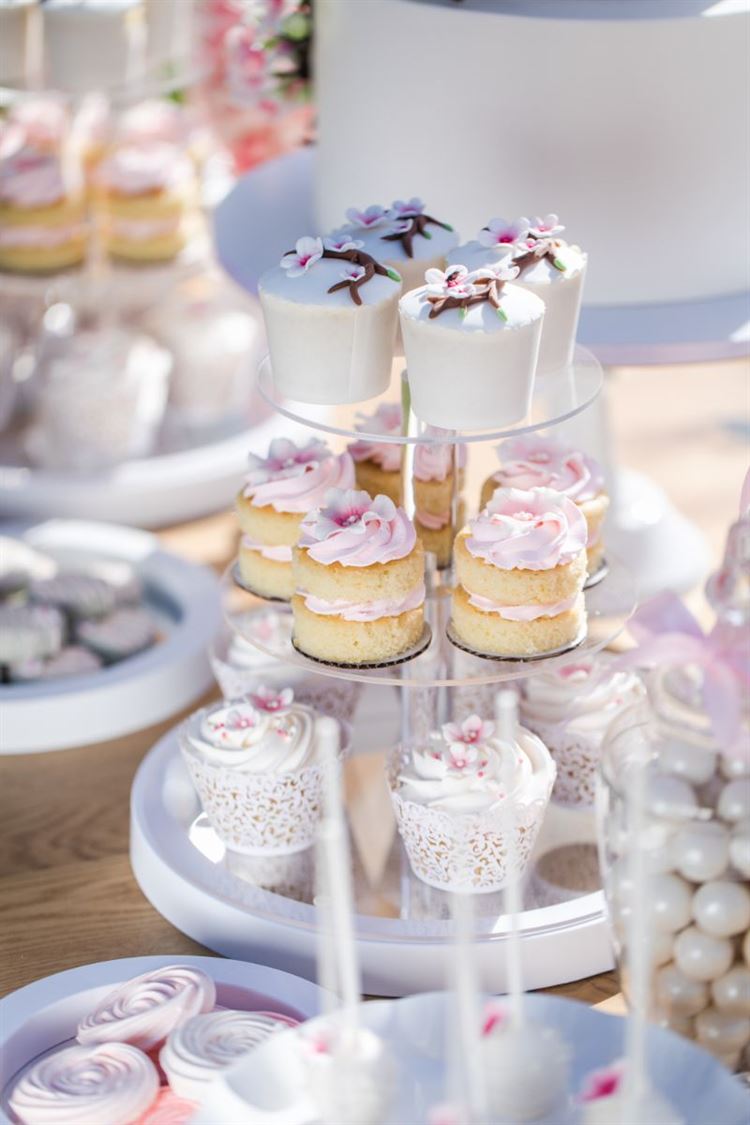 צילום: וואלה מזל טוב