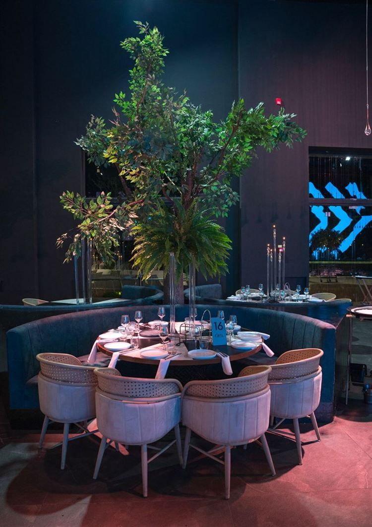 צילום: אלון גרובר