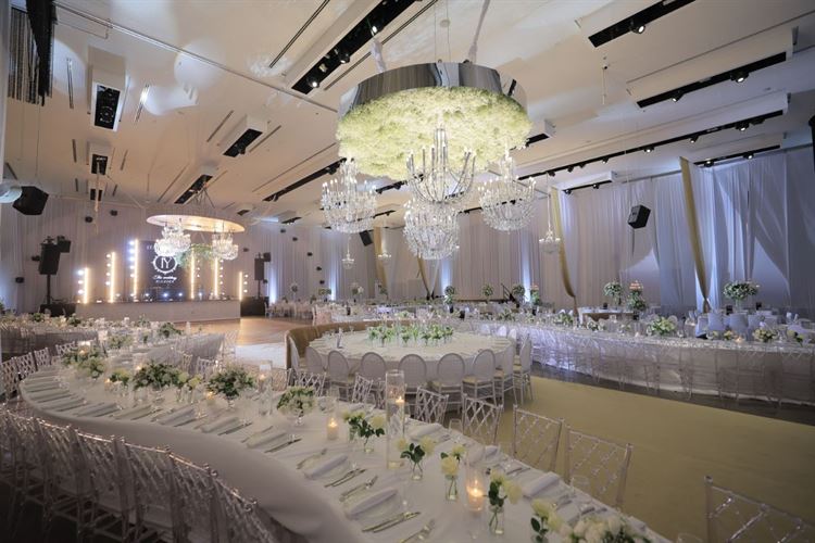 צילום: שלומי זנאתי 