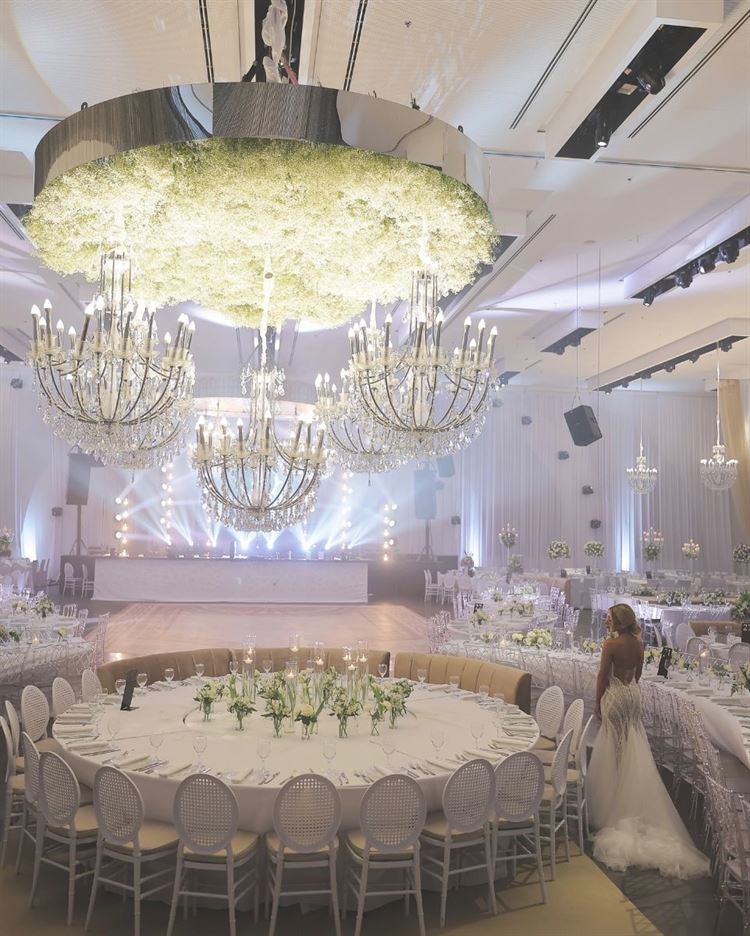 צילום: שלומי זנאתי 