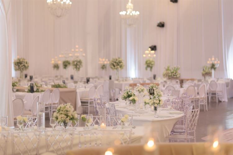 צילום: שלומי זנאתי 