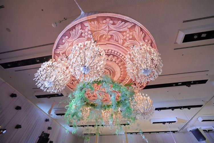 צילום: שלומי זנאתי 