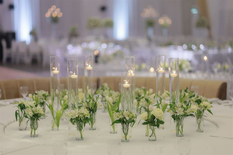 צילום: שלומי זנאתי 