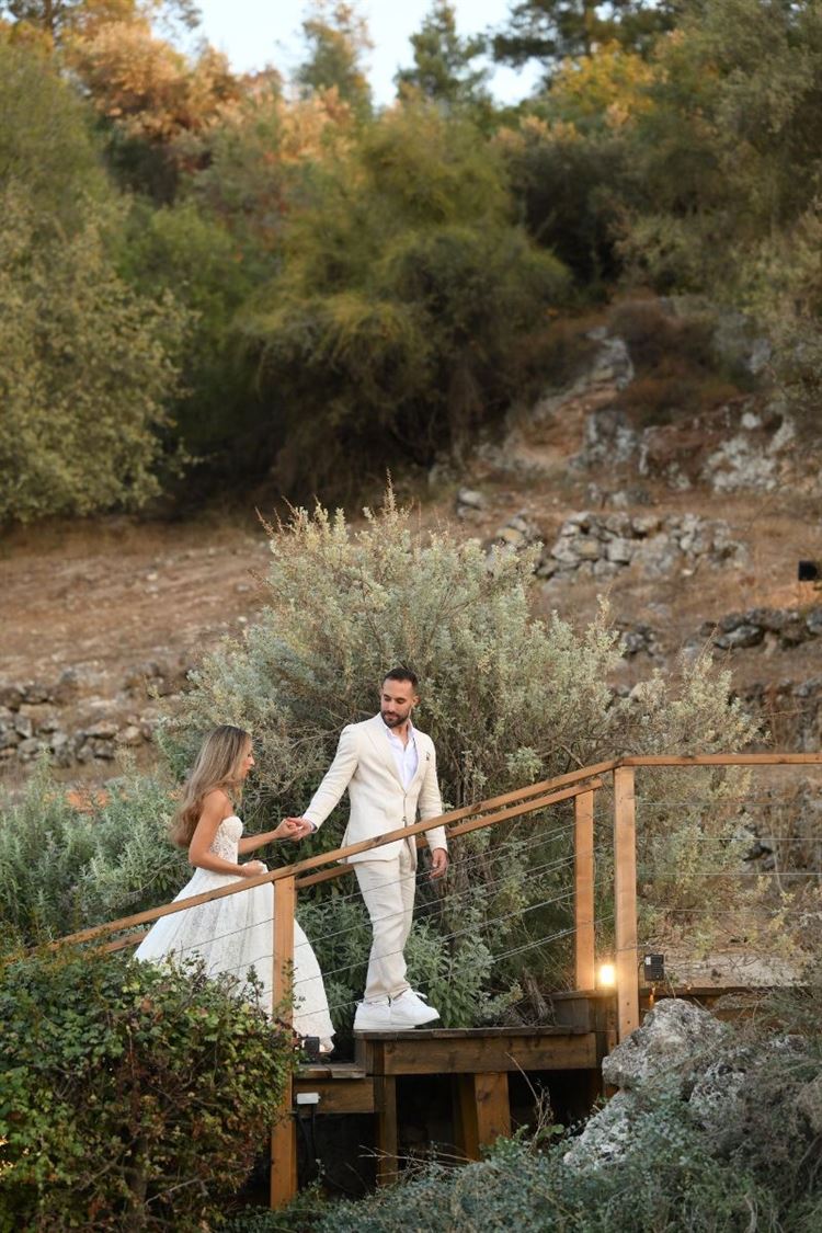 צילום: view photographers‎