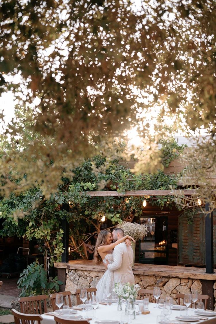 צילום: view photographers‎