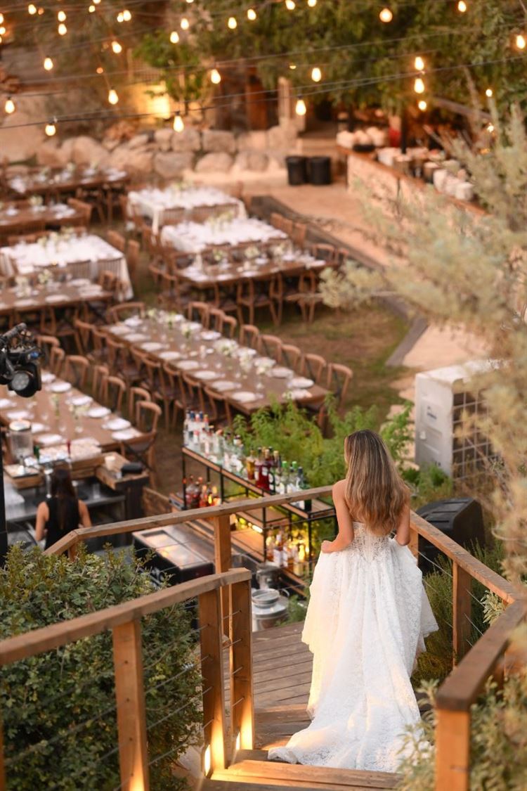 צילום: view photographers‎