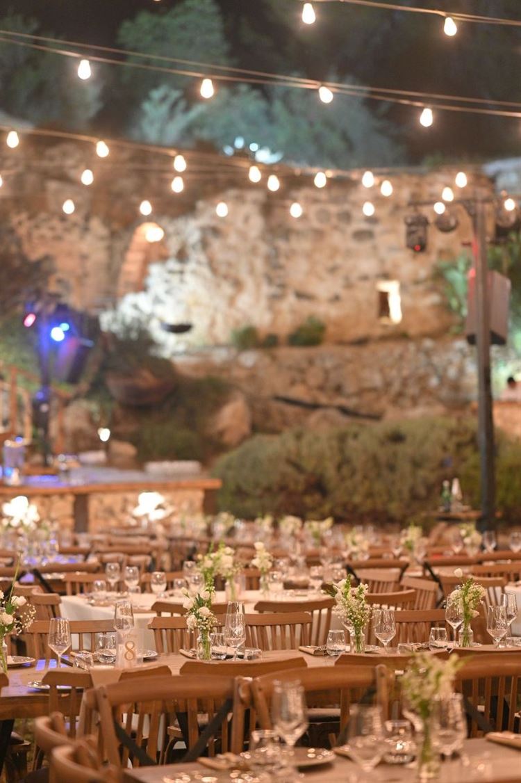 צילום: view photographers‎