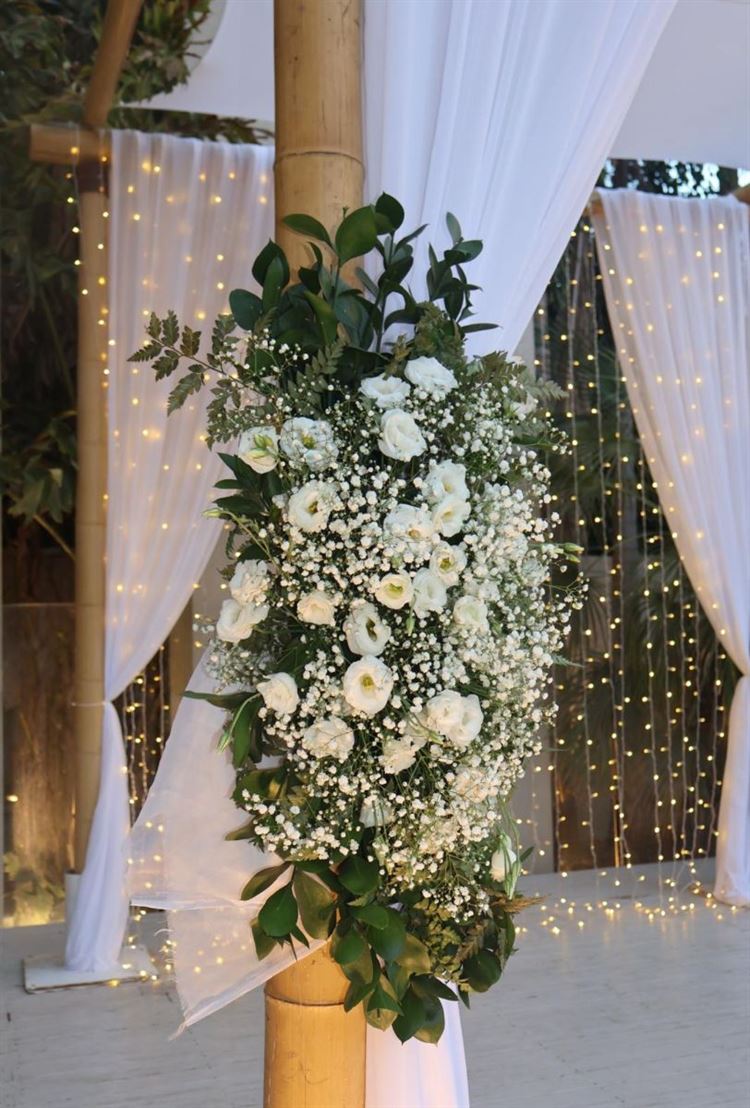 צילום: אבי אלפסי