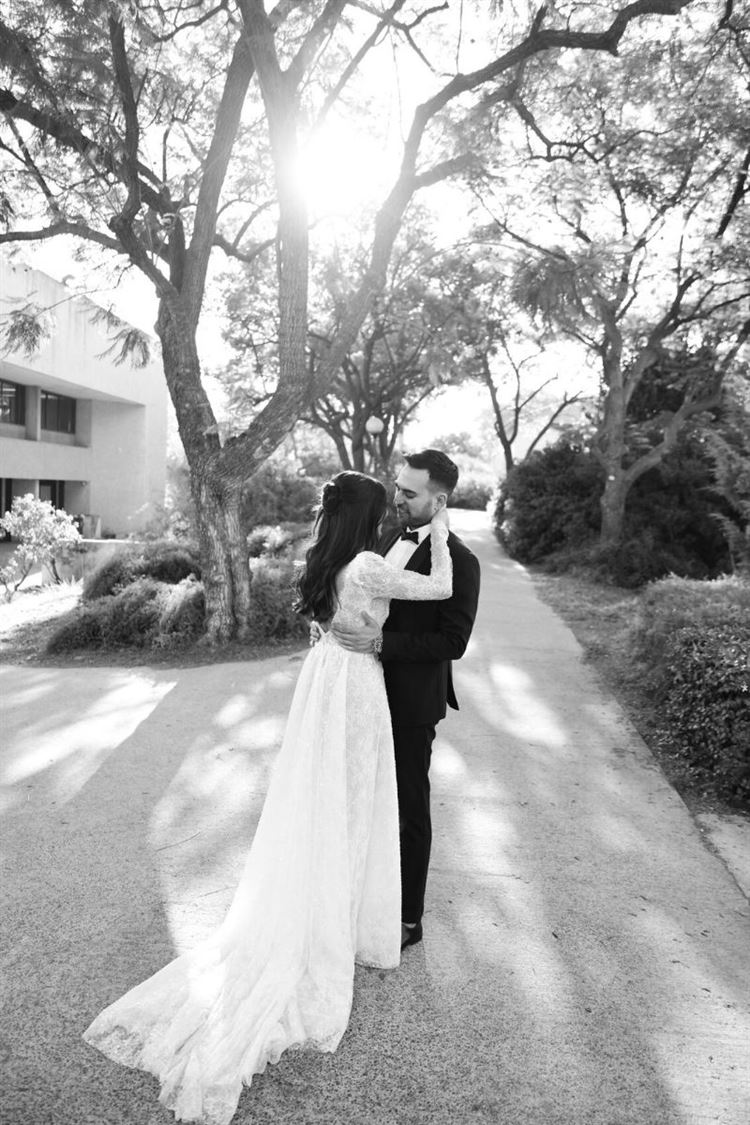 צילום: אבי אלפסי