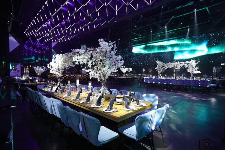 צילום: אלי חן