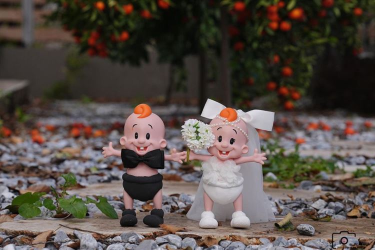 צילום: אלי חן