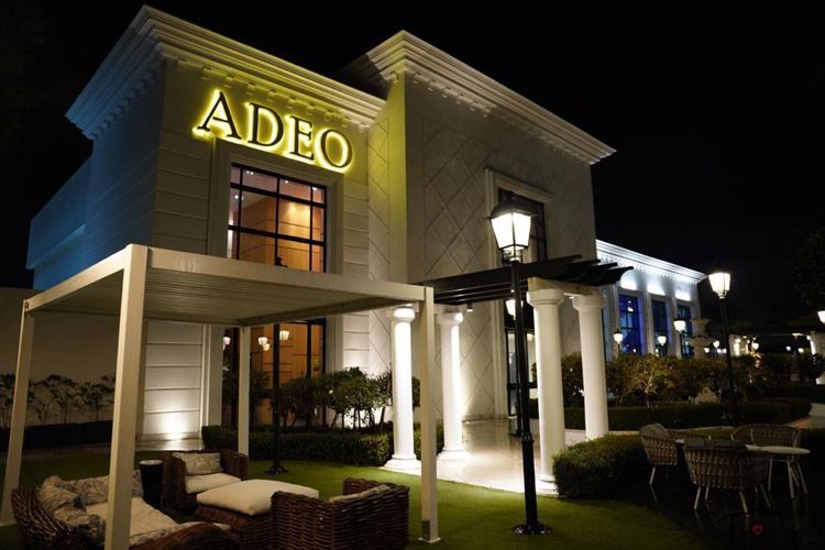 צילום: אלי חן