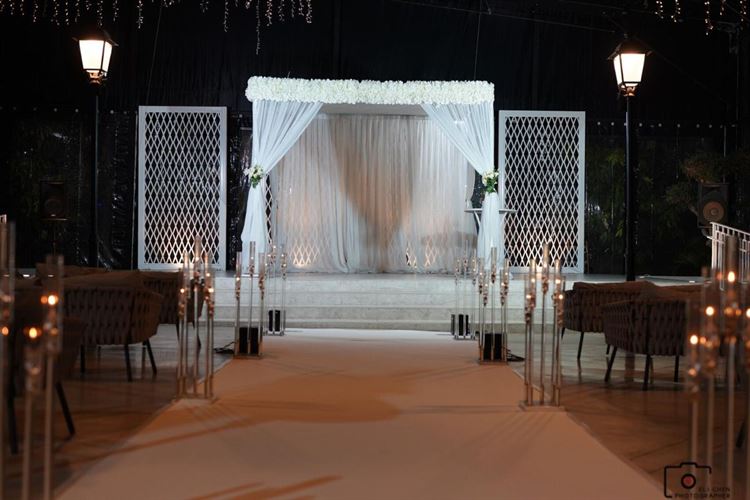 צילום: אלי חן