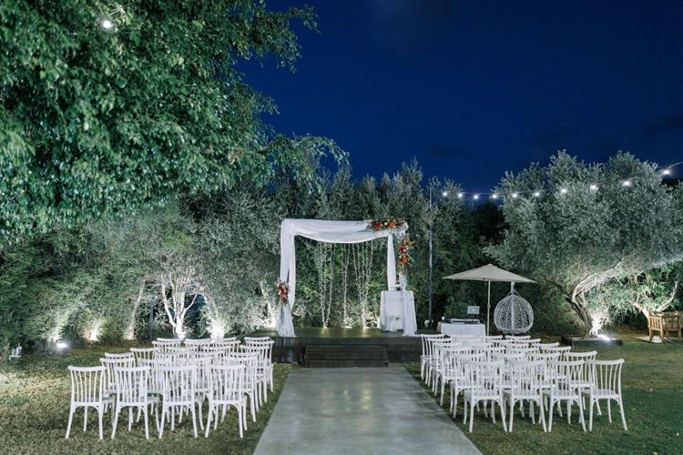 צילום: AVIRA דניאל דיין