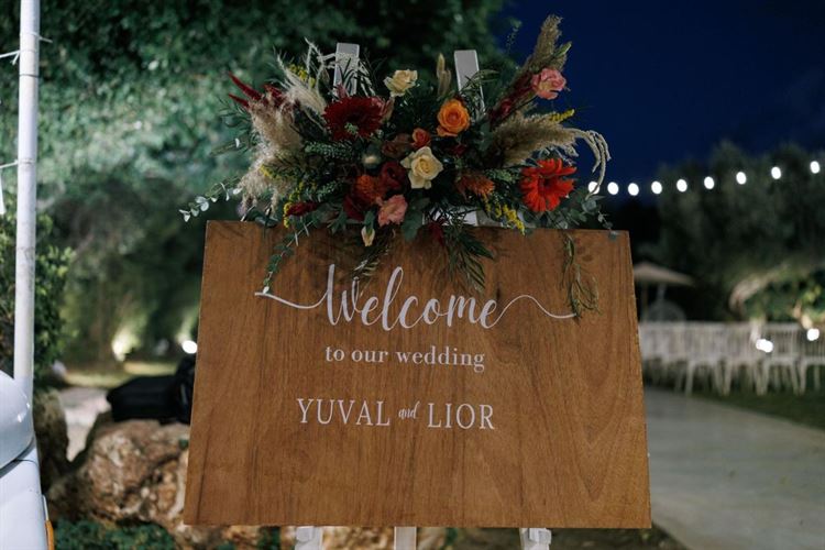 צילום: AVIRA דניאל דיין