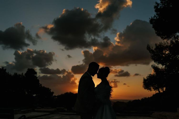 צילום: AVIRA דניאל דיין