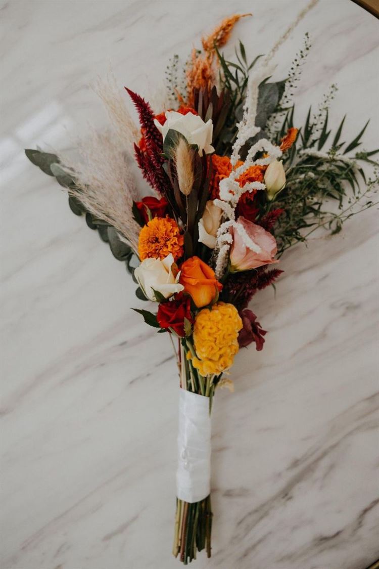 צילום: AVIRA דניאל דיין