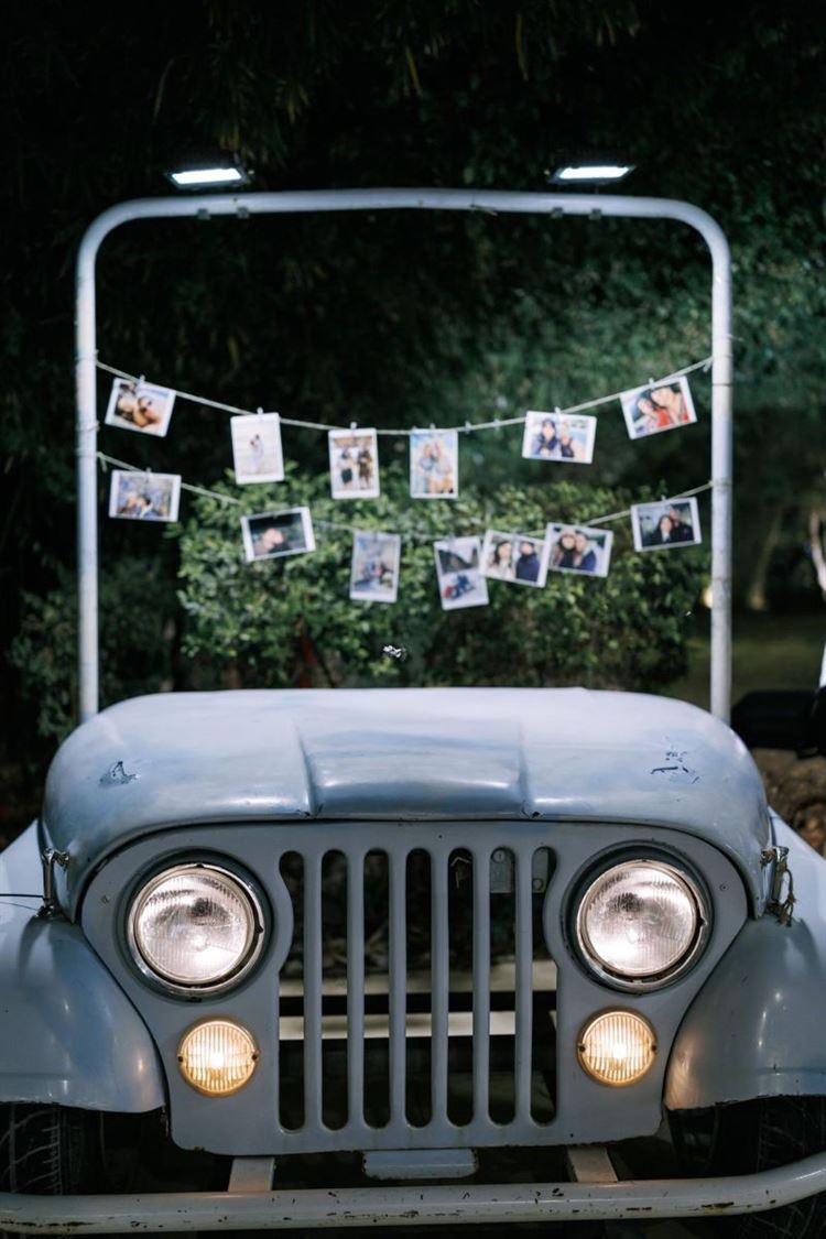 צילום: AVIRA דניאל דיין