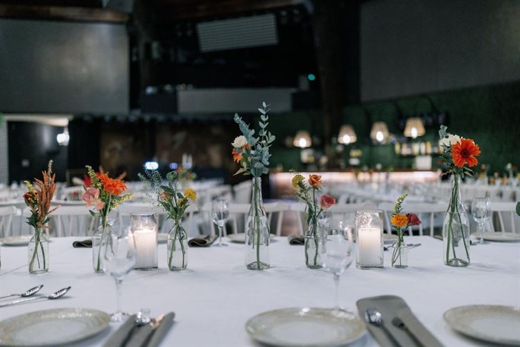 צילום: AVIRA דניאל דיין