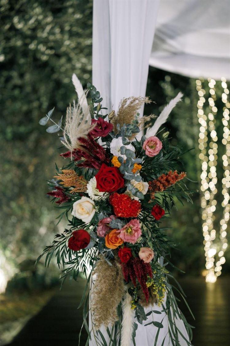 צילום: AVIRA דניאל דיין