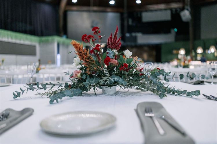 צילום: AVIRA דניאל דיין