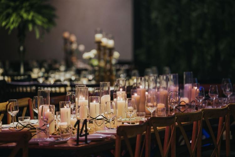 צילום: עידן חסון