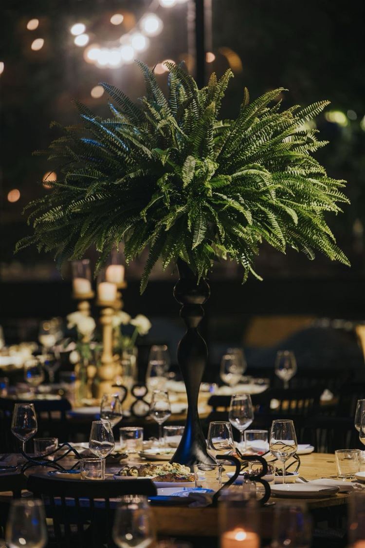 צילום: עידן חסון