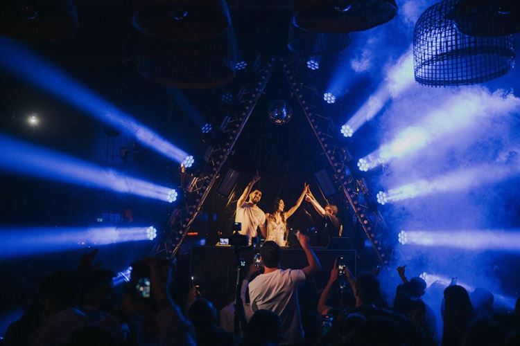 צילום: עידן חסון