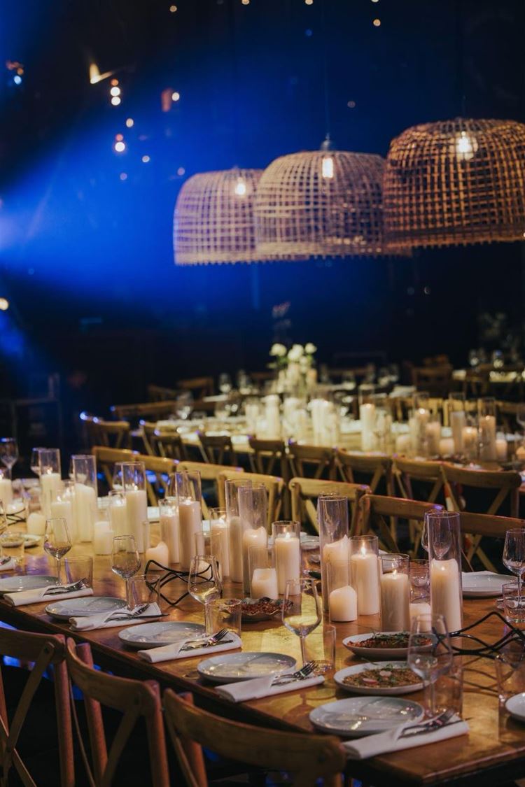 צילום: עידן חסון