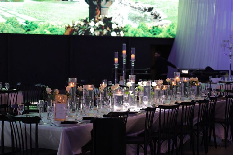 צילום: אבשלום זוהר