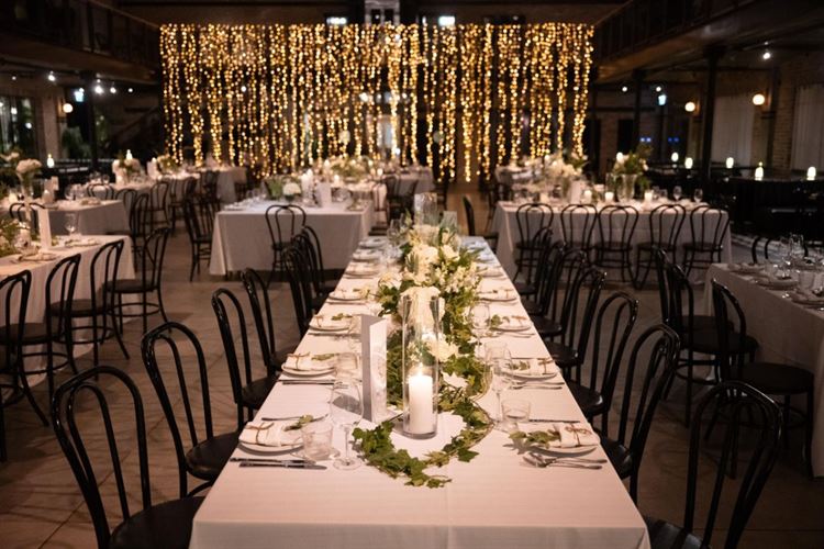 צילום: עידן חסון