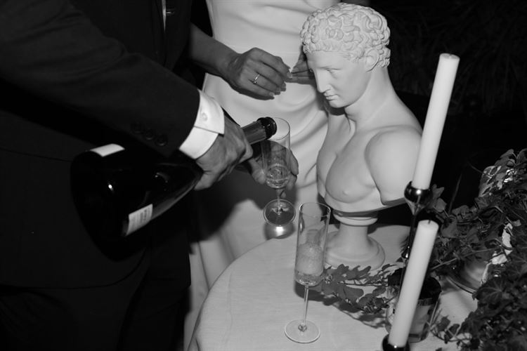 צילום: עידן חסון