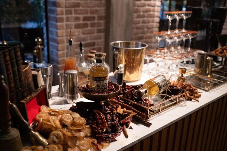 צילום: עידן חסון