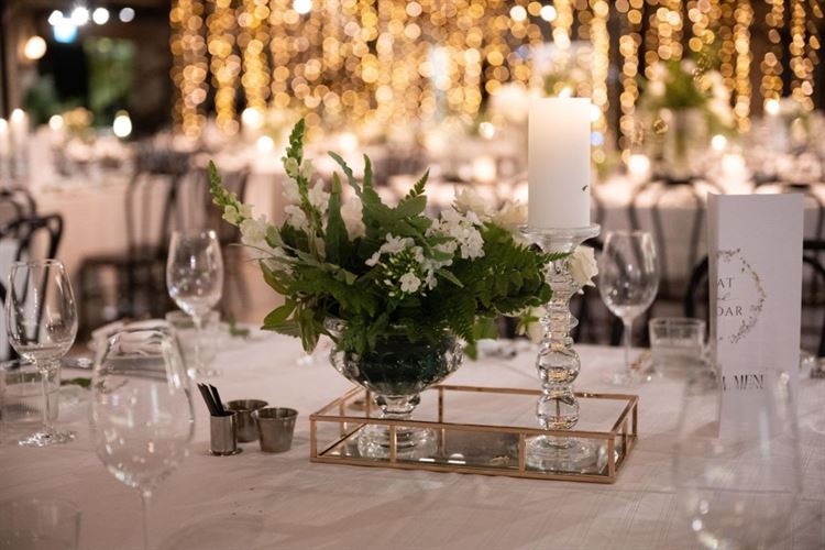 צילום: עידן חסון