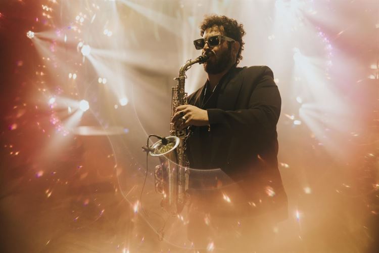 צילום: רועי לוי