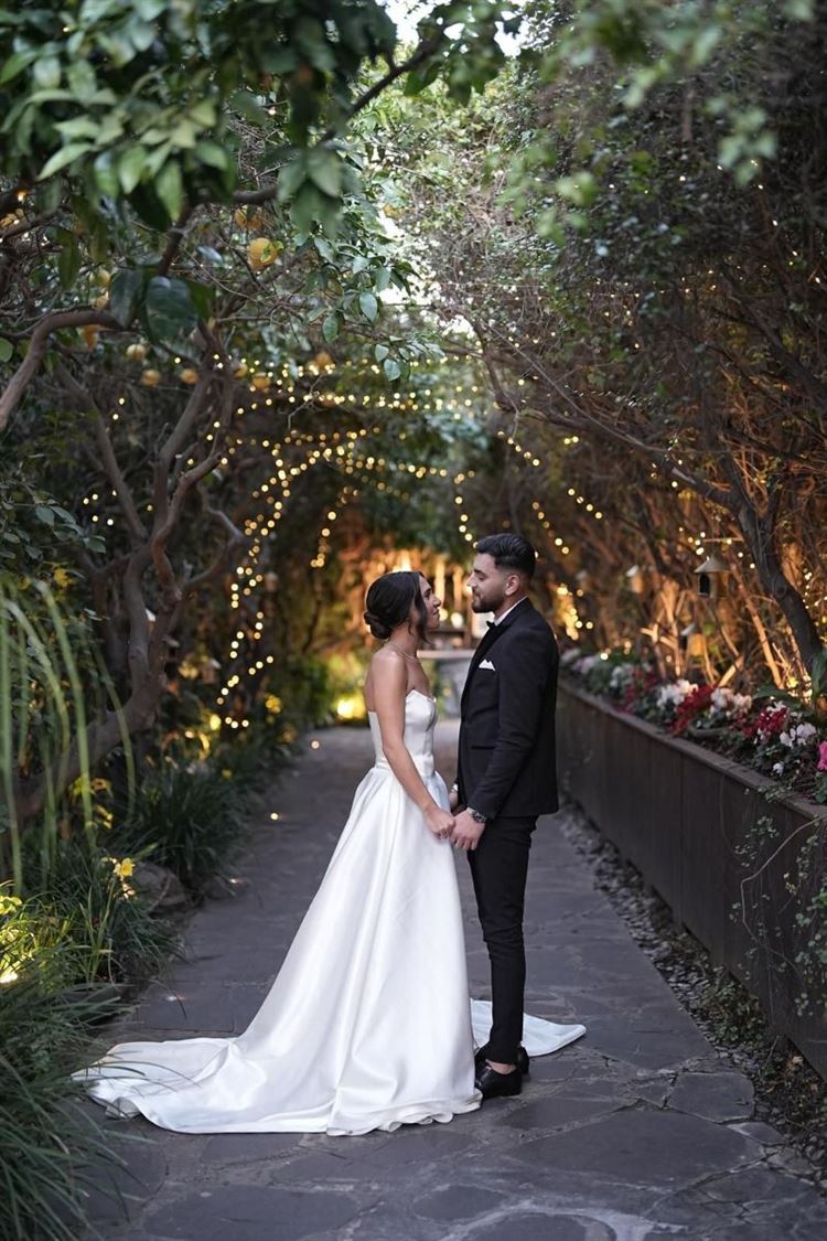 צילום: אלי חן