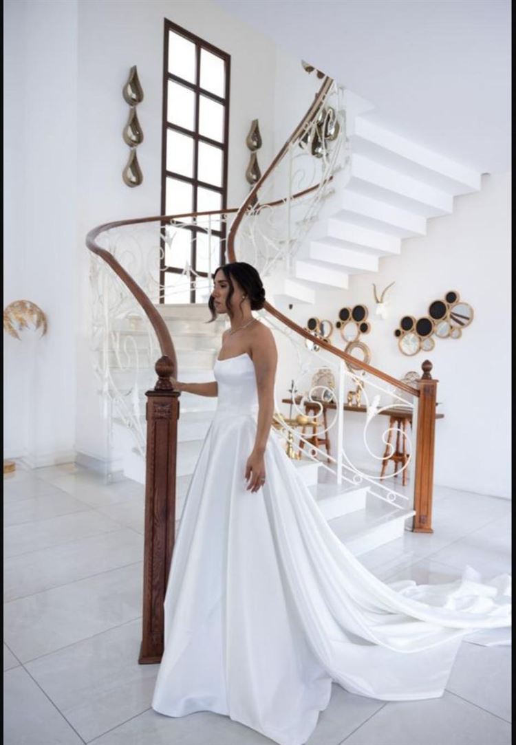 צילום: אלי חן