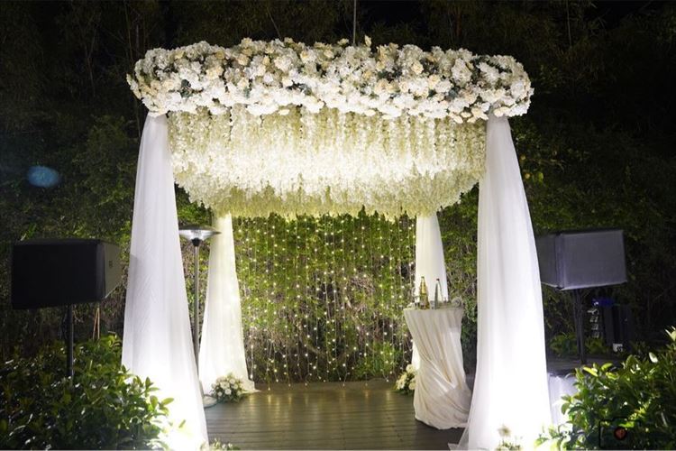 צילום: אלי חן