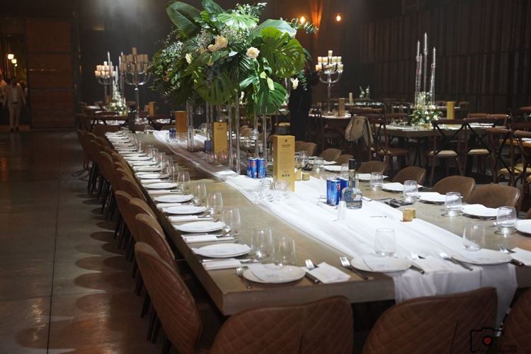 צילום: אלי חן