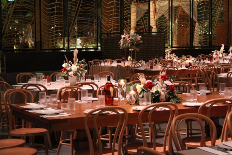 צילום: אור שדה (ברנדו פוטוגרפי)