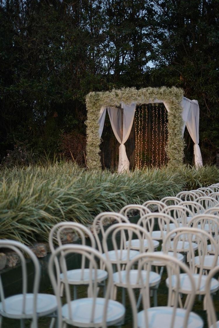 צילום: white code social