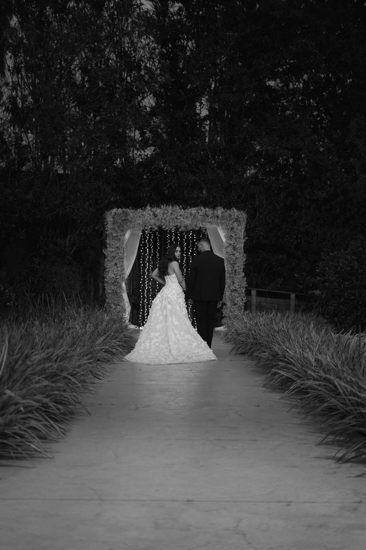 צילום: white code social