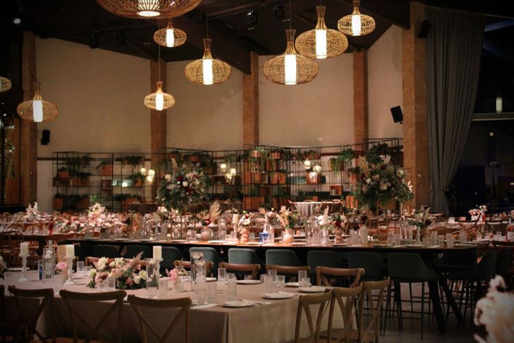 צילום: אור שדה (ברנדו פוטוגרפי)