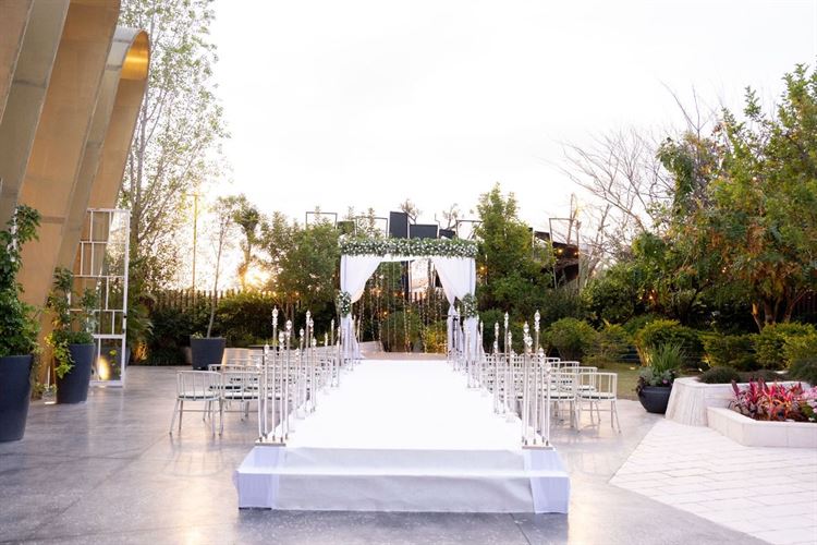 צילום: רון קובי