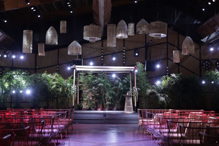 צילום: מיקי סויסה