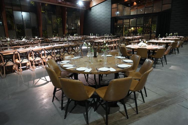 צילום: מיקי סויסה