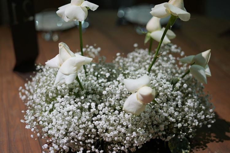 צילום: מיקי סויסה